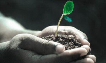 Promoting sustainable development by volunteering / Volunteerism