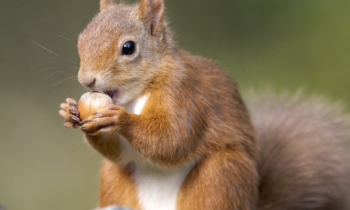 Promoting Peace, Health, Tolerance  & Sustainable development by volunteering / Volunteerism           📌Knowledge knows no borders — and neither does integration. Knowledge & skills for development for all.