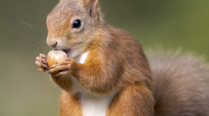 Promoting Peace, Health, Tolerance  & Sustainable development by volunteering / Volunteerism           📌Knowledge knows no borders — and neither does integration. Knowledge & skills for development for all.